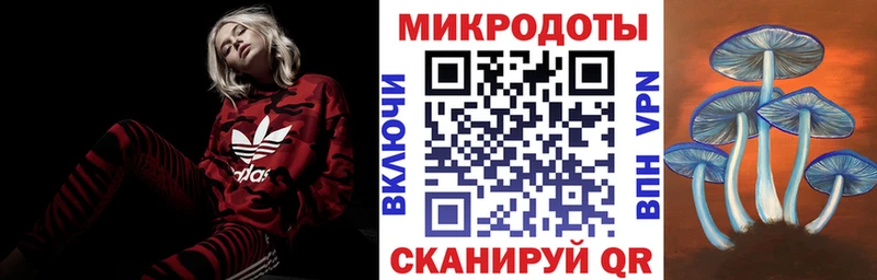 Псилоцибиновые грибы Psilocybine cubensis  Очёр 